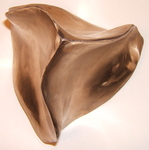Bronze Tetrahedron, Figure 1