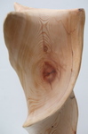 Driftwood Twist, Figure 5