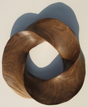 Black Mesquite Torus Knot, Figure 4