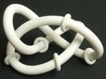 Plastic Figure 8 Knot and Sliding Tori, Figure 2