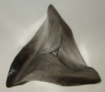 Iron Tetrahedron, Figure 2 by Alex J. Feingold