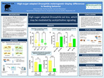 High-Sugar Adapted Drosophila Melanogaster Display Differences in Feeding Behavior by Melina Brunelli