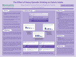 Drinking, Nutrition, and Mood Assessment