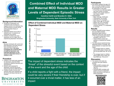 "The Combined Impact of Maternal Major Depressive Disorder and Individu ...