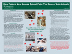 How Federal Law Assess Animal Pain: The Case of Lab Animals by Ellie Cukor