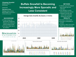 Buffalo Snowfall
