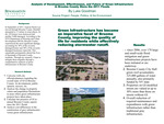 Analysis of the Development, Effectiveness, and Future of Green Infrastructure in Broome County since the 2011 floods by Luke Goodman