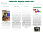 Stella Adler Summer Conservatory