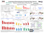 Computational Photochemistry of Commercial Tattoo Pigments