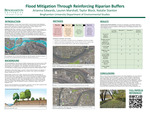 Flood Mitigation Through Reinforcing Riparian Buffers by Lauren Marshall, Arianna Edwards, Taylor Block, and Natalie Stanton
