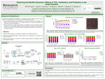 Exploring Gut Biofilm Dynamics: Effects of TiO₂, Antibiotics, and Probiotics in the Small Intestine by Shirmin Islam, Jacob V. Tanzman, Gretchen J. Mahler, and Cláudia N. H. Marques