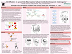 Identification of genes that affect cardiac failure in diabetic Drosophila melanogaster