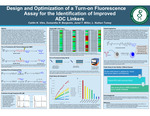 Design and optimization of a turn-on fluorescence assay for the identification of improved ADC linkers