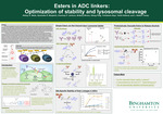 Esters in ADC linkers: Optimization of stability and lysosomal cleavage